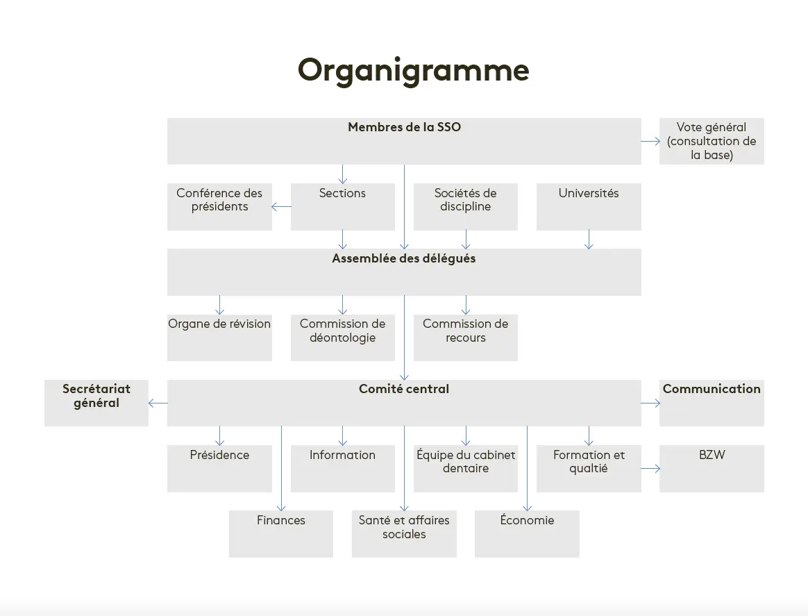 Organigramme